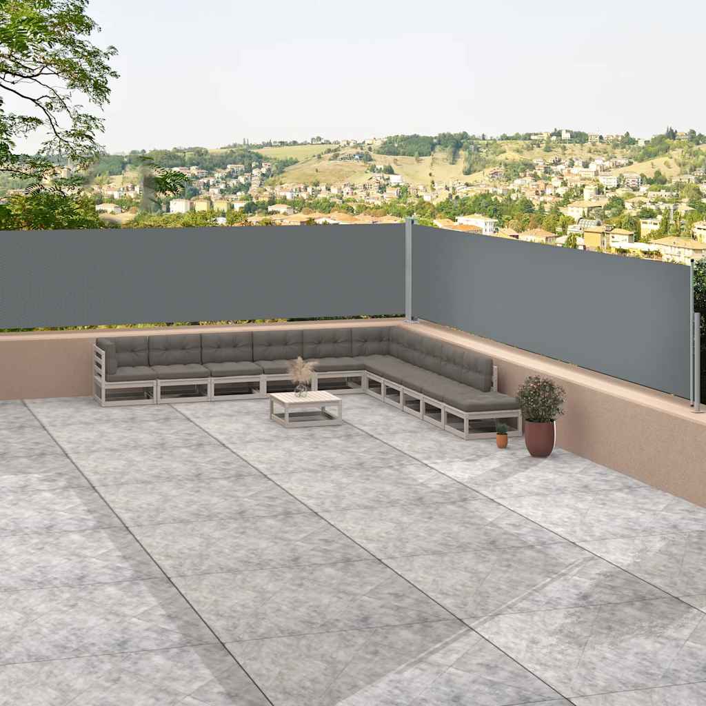 vidaXL Διαχωριστικό Βεράντας Συρόμενο Ανθρακί 117 x 1200 εκ.