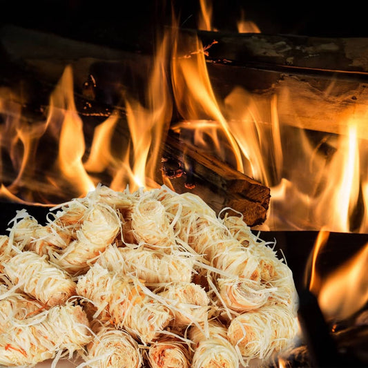 vidaXL Προσανάμματα BIO 5 κιλά