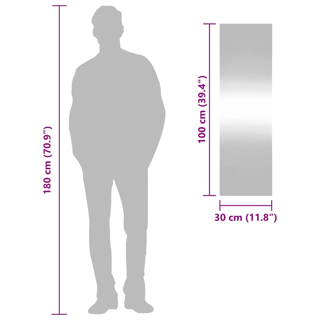 vidaXL Καθρέφτης Επιτοίχιος Ορθογώνιος 30 x 100 εκ.