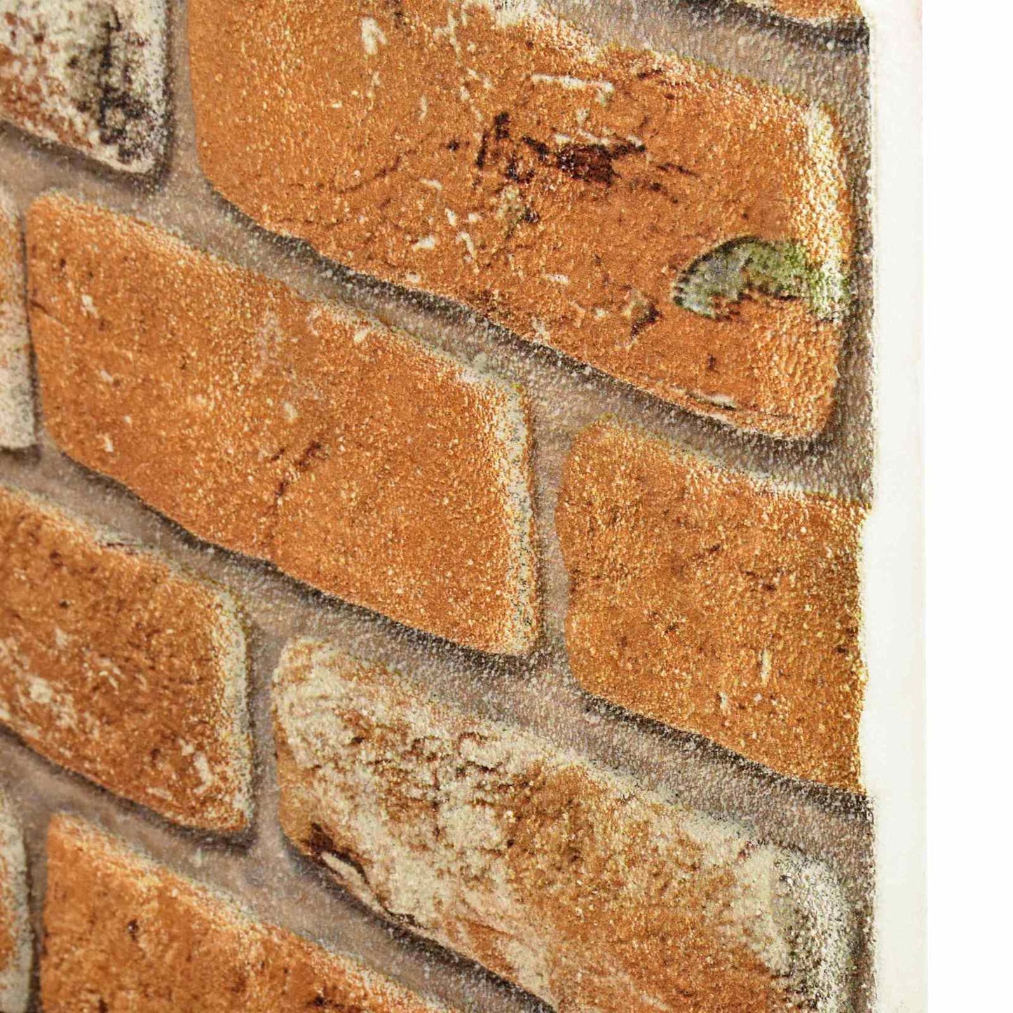vidaXL Πάνελ τοίχου 10 pcs Τούβλο 100 x 50 cm Αφρός EPS