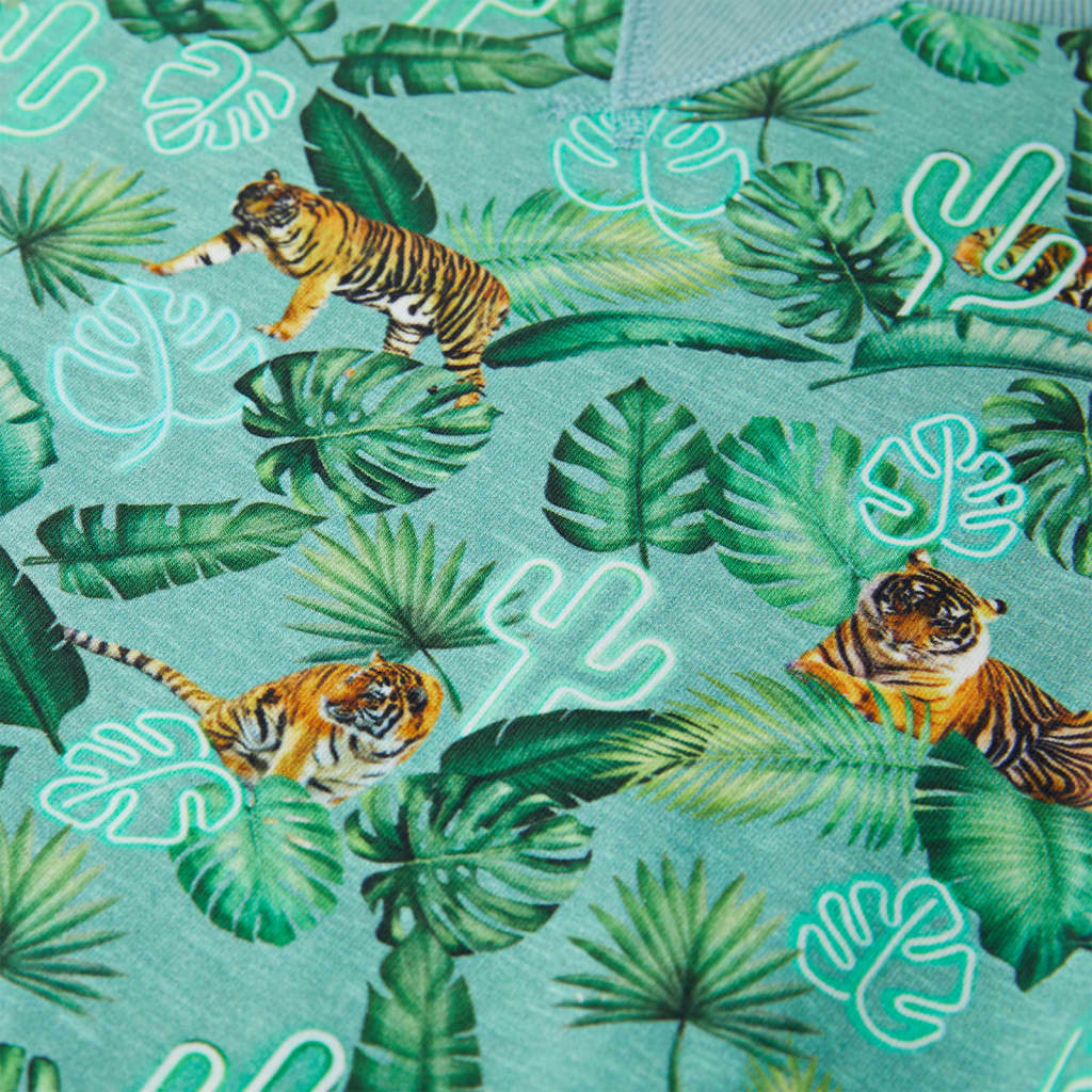 Φούτερ Παιδικό Ανοιχτό Πράσινο Μελανζέ 92