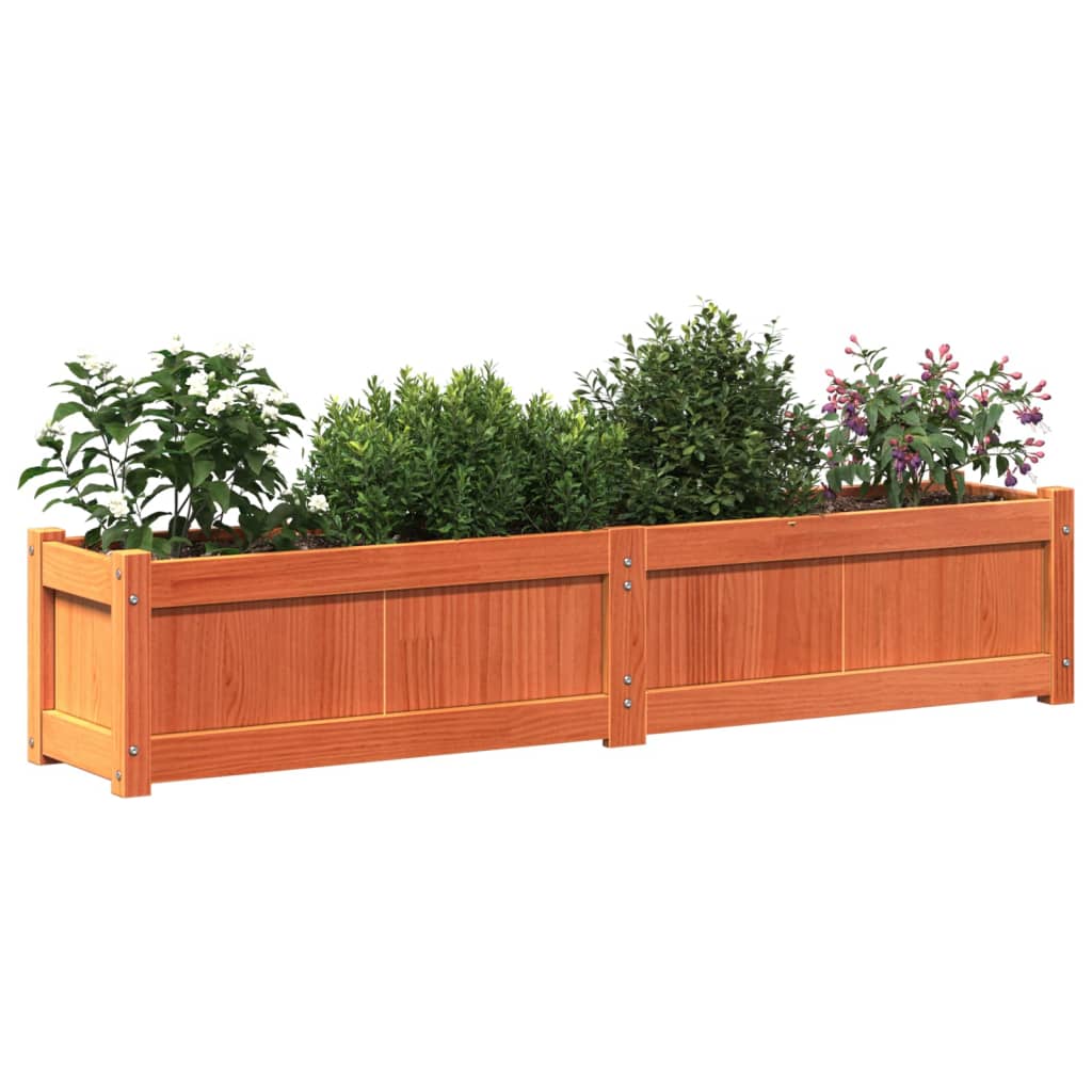 vidaXL Ζαρντινιέρα Καφέ Κεριού 150 x 31 x 31 εκ. από Μασίφ Ξύλο Πεύκου