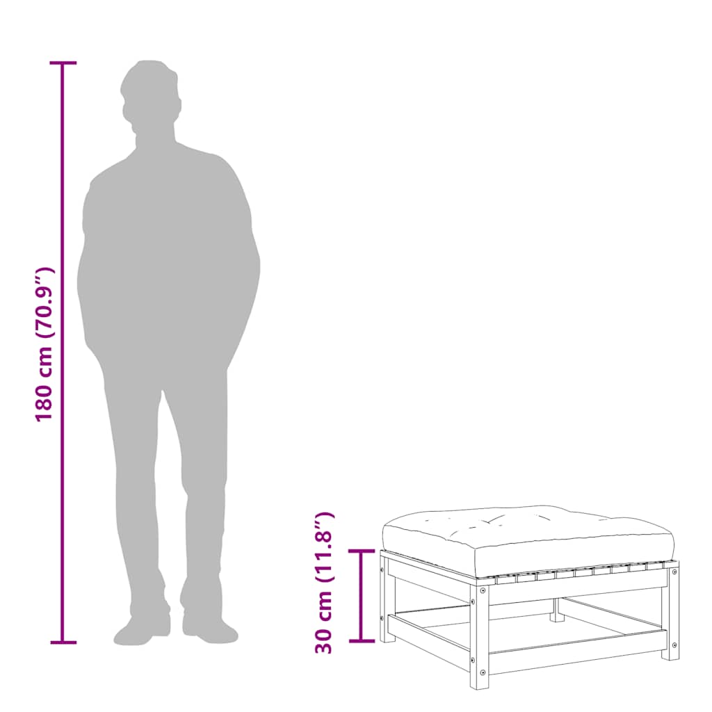 vidaXL Υποπόδια Κήπου με Μαξιλάρια 2 τεμ. από Μασίφ Ξύλο Ψευδοτσούγκας