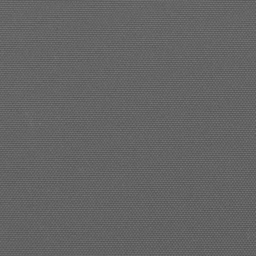 vidaXL Πτυσσόμενη Πλαϊνή Τέντα Ανθρακί 140x500 εκ.
