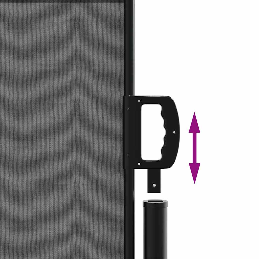 vidaXL Πτυσσόμενη Πλαϊνή Τέντα Ανθρακί 120x600 εκ.