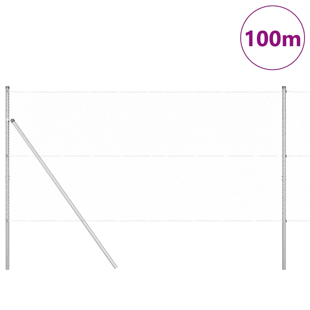 vidaXL Έξιγωνο φράχτη σταθερού εδάφους 100 x 1,4 μ Ασημί Δίχτυ