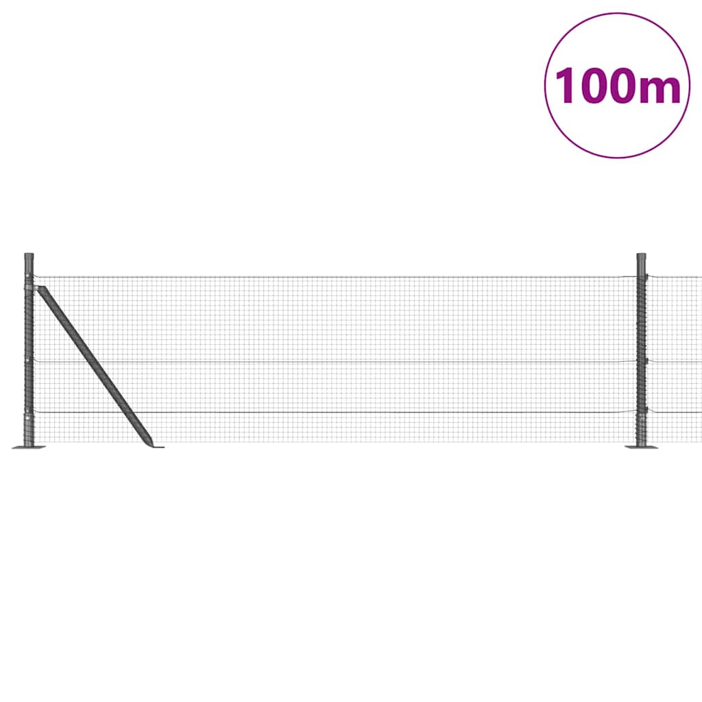 vidaXL Συρματόπλεγμα με Σκυρόδεμα 100 x 0,5 μ Γαλβανισμένος Χάλυβας