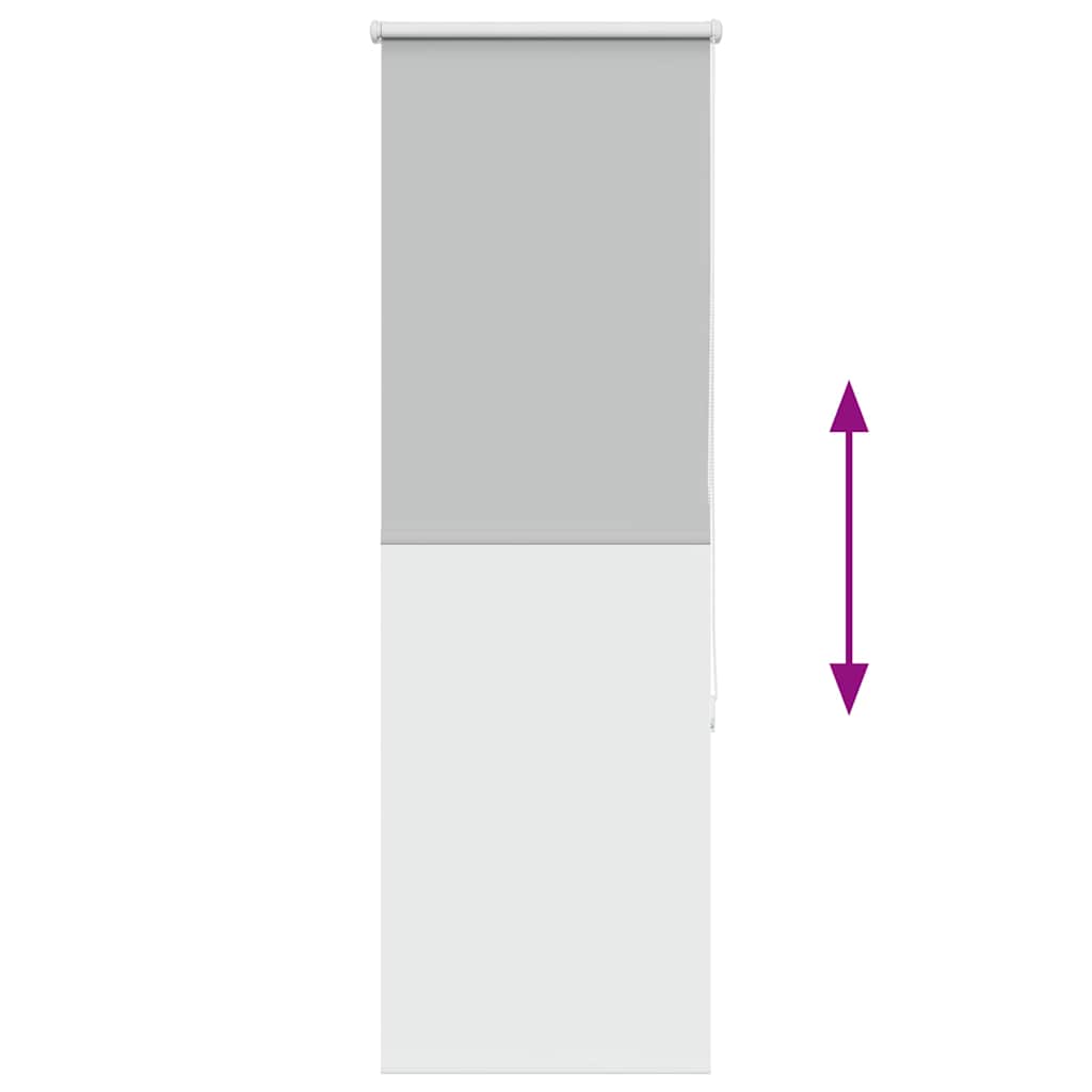 vidaXL Ρολέρ Μπλακάουτ ανοιχτό γκρι 55x130 cm Πλάτος υφάσματος 50,7cm