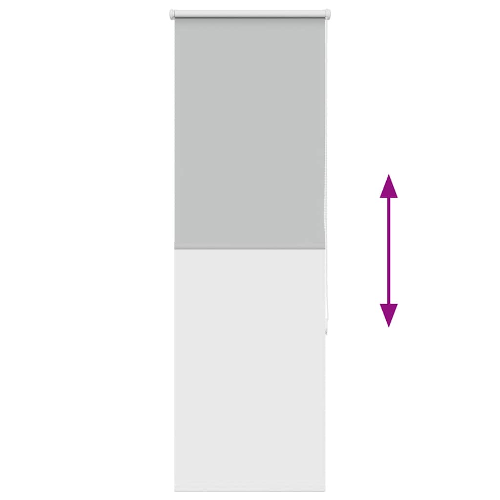 vidaXL Ρολέρ Μπλακάουτ ανοιχτό γκρι 60x130 cm Πλάτος υφάσματος 55,7cm