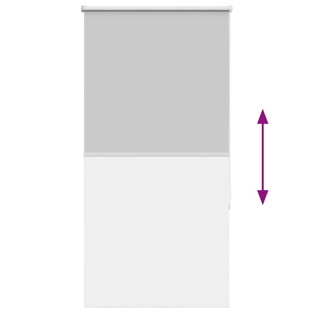 vidaXL Ρολέρ Μπλακάουτ ανοιχτό γκρι 75x150 cm Πλάτος υφάσματος 70,7cm