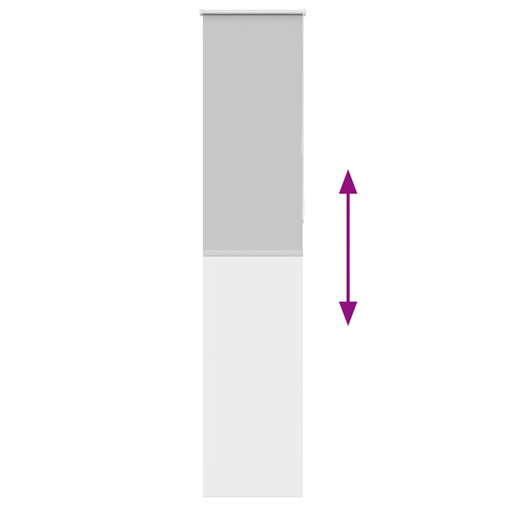 vidaXL Ρολέρ Μπλακάουτ ανοιχτό γκρι 45x210εκ. Πλάτος υφάσματος 40,7εκ.