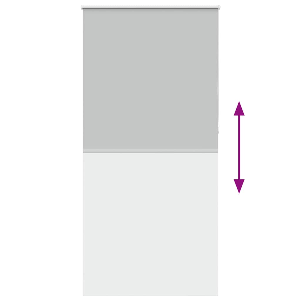 vidaXL Ρολέρ Μπλακάουτ ανοιχτό γκρι 105x210 cm Πλάτος υφάσματος