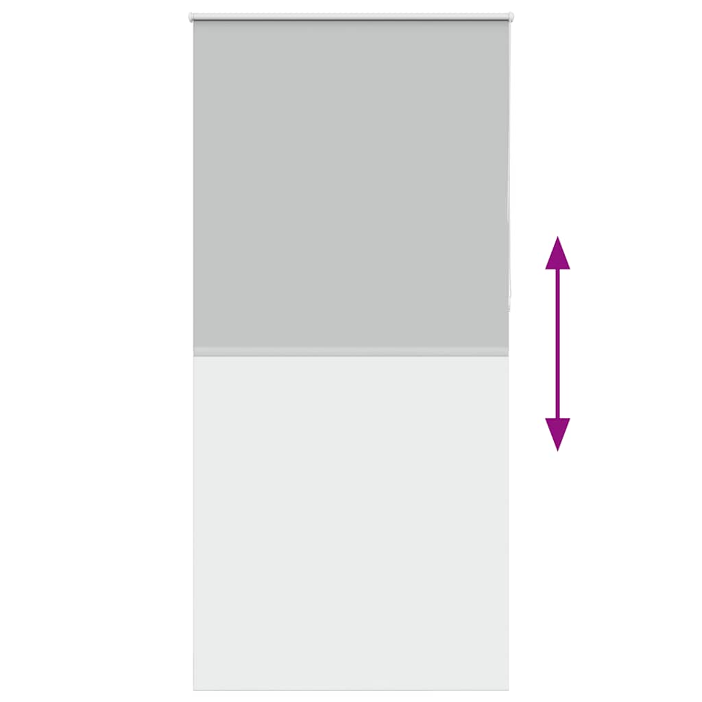 vidaXL Ρολέρ Μπλακάουτ ανοιχτό γκρι 100x230 cm Πλάτος υφάσματος 95,7cm