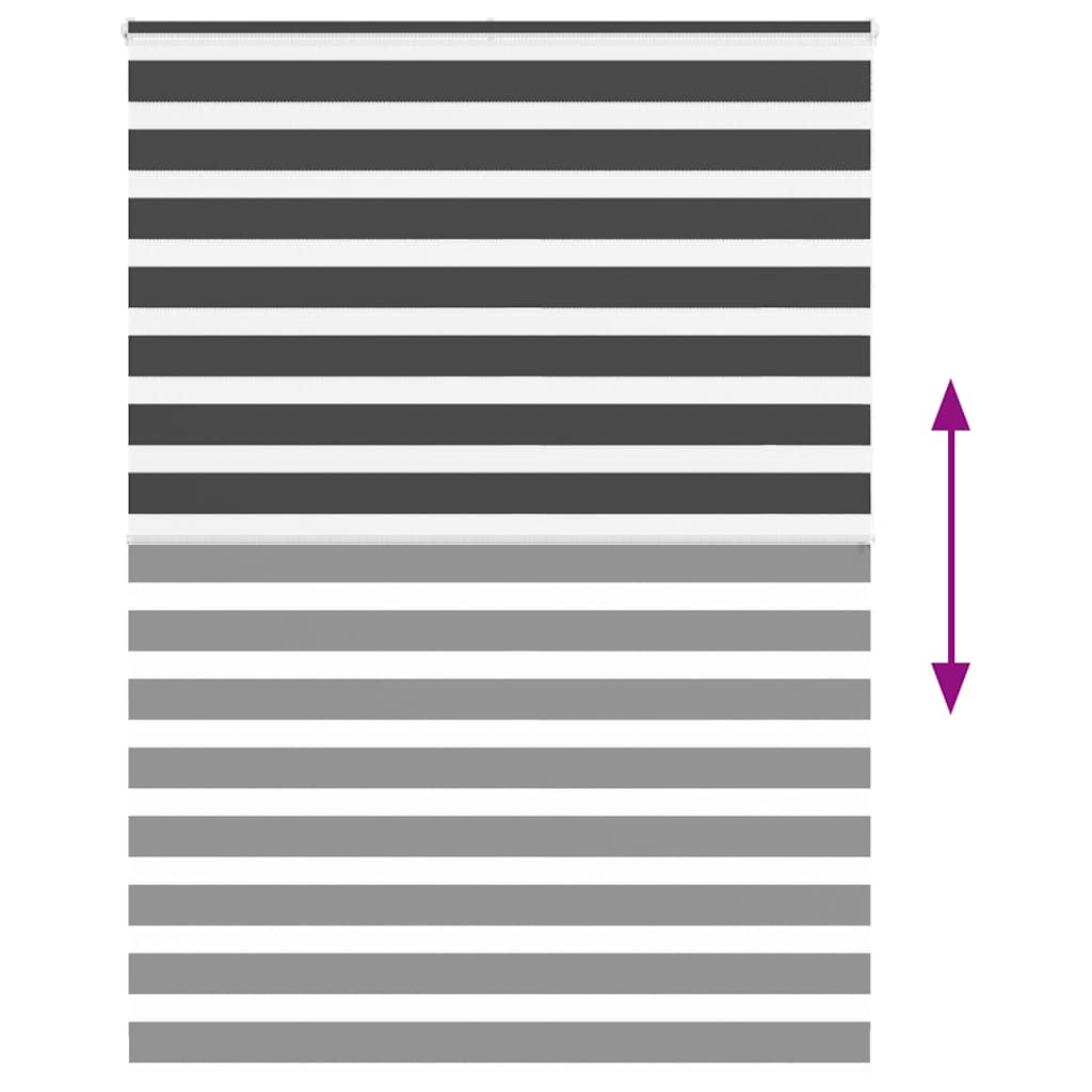 vidaXL Ζέβρα τυφλή Μαύρο Πλάτος υφάσματος 155,9 εκ. Πολυεστέρας