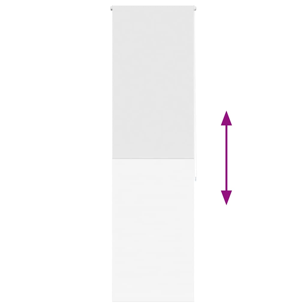 vidaXL Κουρτίνα Μπάνιου Ρολό 70x240 εκ. Πλάτος υφάσματος 66 εκ.