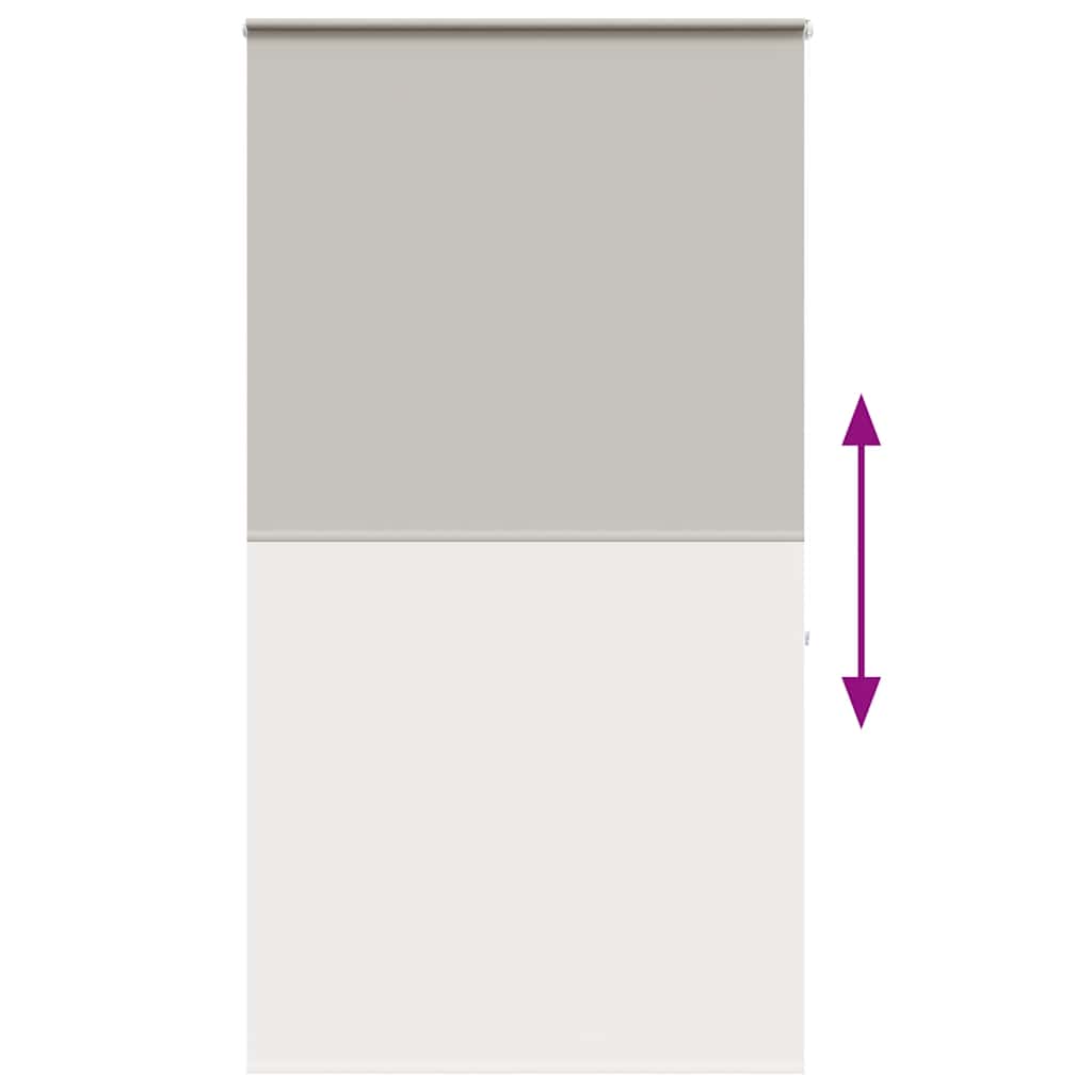 vidaXL Κουρτίνα Μπάνιου Ρολό κασέτα 120x240εκ. Πλάτος υφάσματος 116εκ.