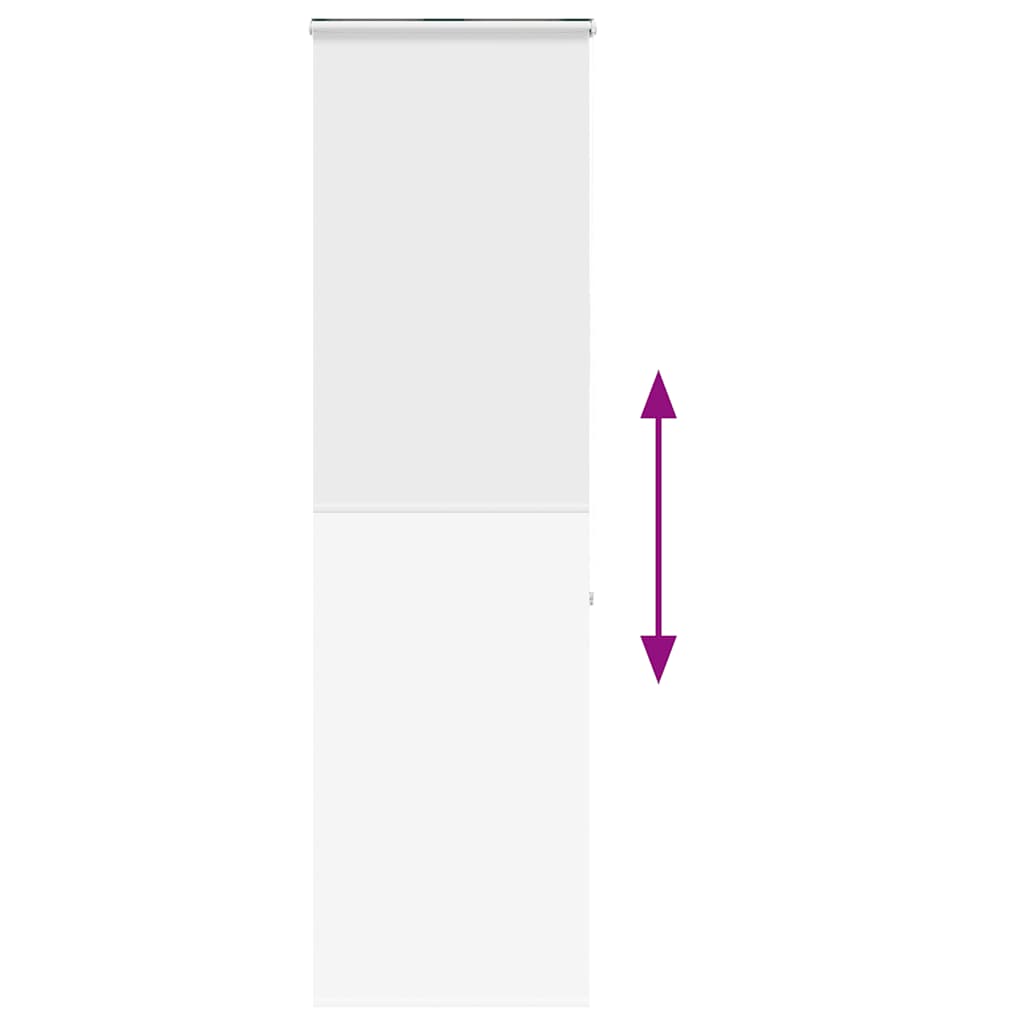 vidaXL Κουρτίνα Μπάνιου Ρολό κασέτα 80x240 εκ. Πλάτος υφάσματος 76 εκ.