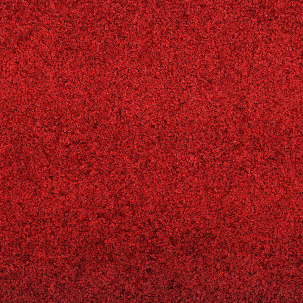 vidaXL Χαλάκι Εξώπορτας Κόκκινο και Μαύρο 120 x 300 cm