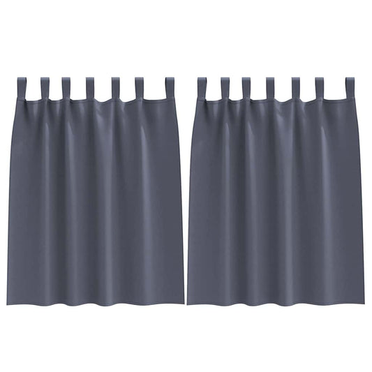 vidaXL Κουρτίνες με κουρτίνες 2 pcs Ανθρακί Πολυεστέρας