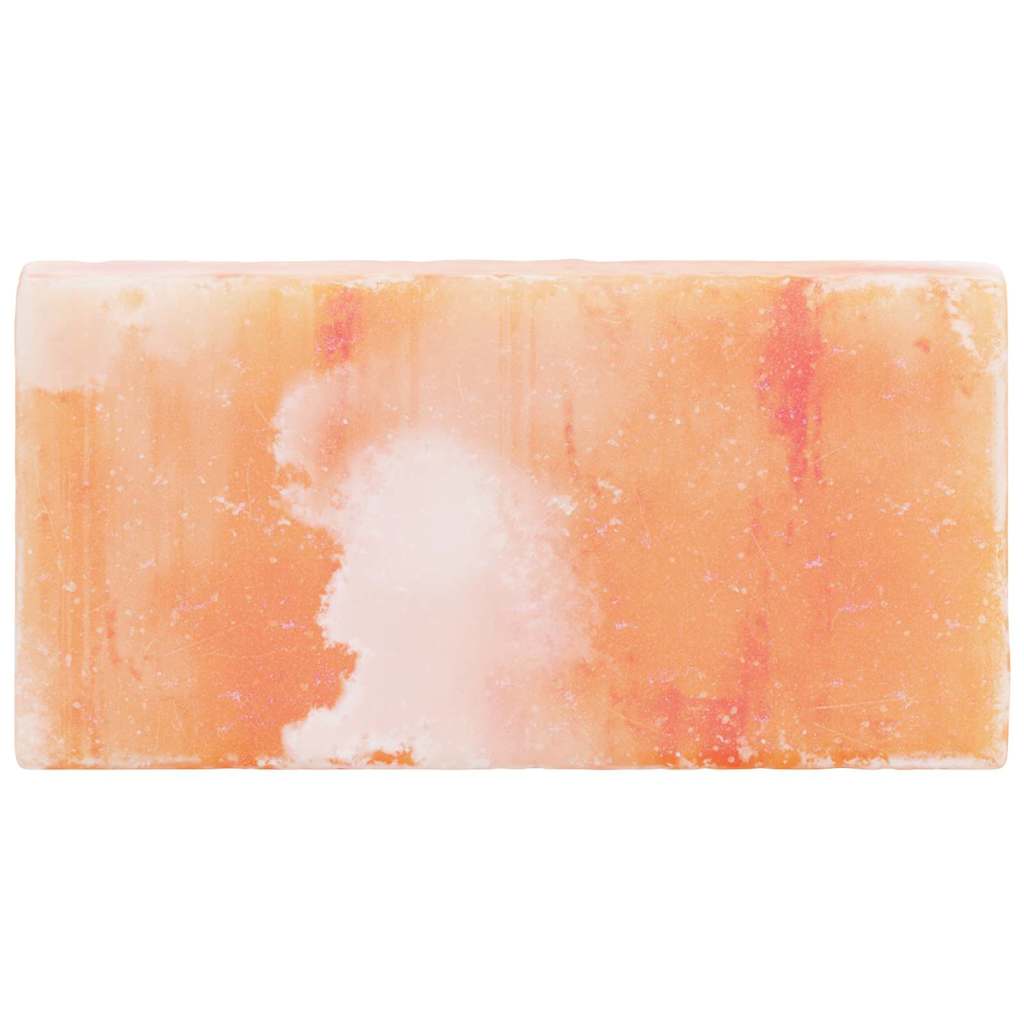 vidaXL Πέτρες Αλατιού 10 pcs Ροζ 20 x 2.5 x 10 εκ. Ρακ Νάτριος