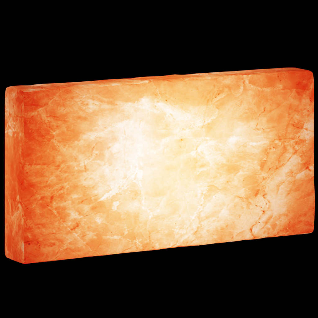 vidaXL Πέτρες Αλατιού 10 pcs Ροζ 20 x 2.5 x 10 εκ. Ρακ Νάτριος