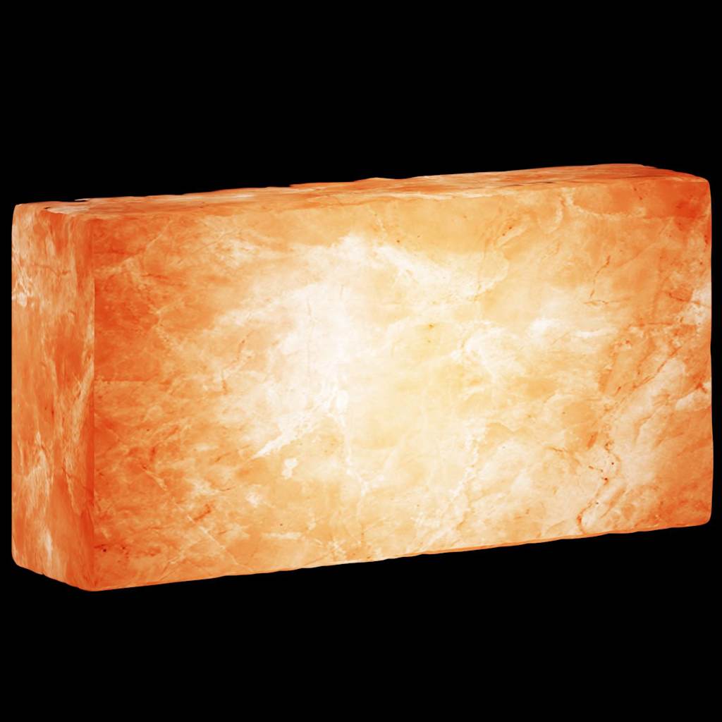 vidaXL Ροζ Αλατόπετρες 10 τεμάχια 20x10x5 εκ. 23 κιλά