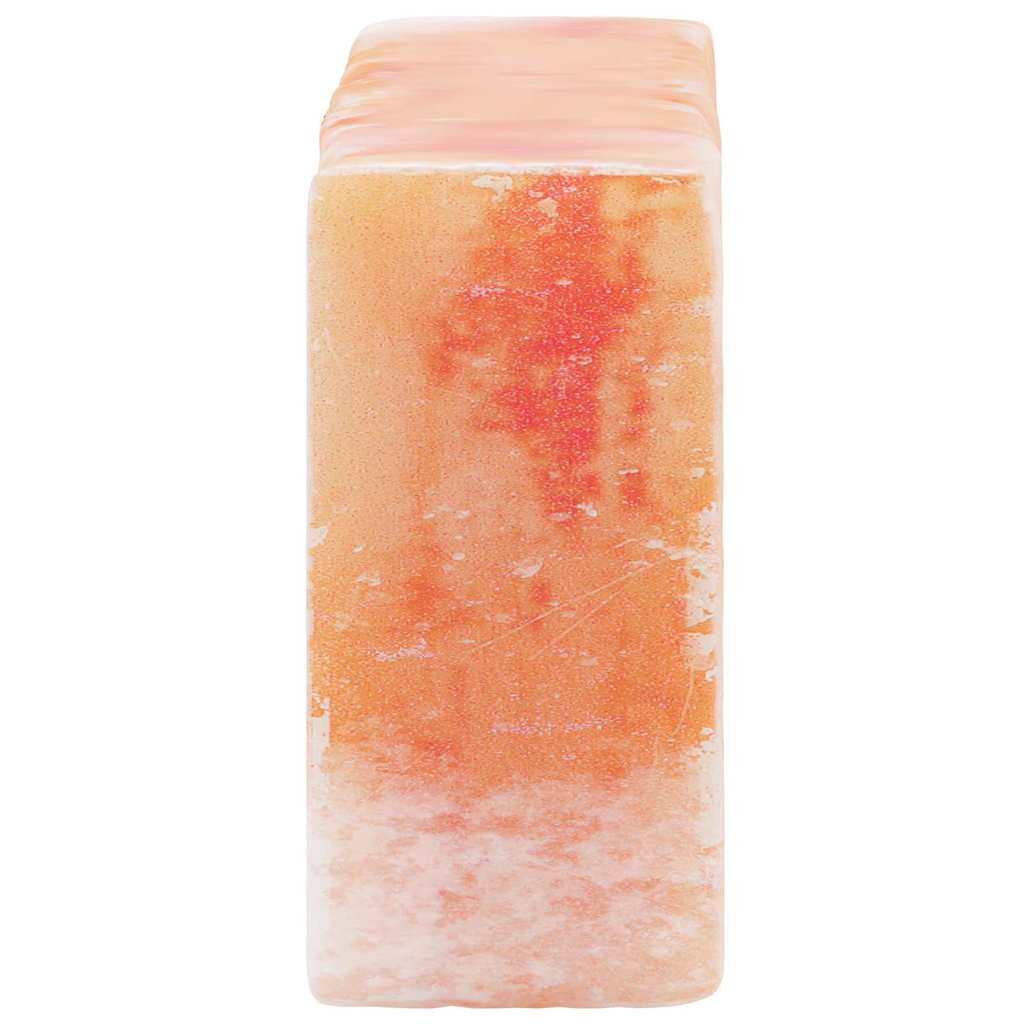 vidaXL Ροζ Αλατόπετρες 10 τεμάχια 20x10x5 εκ. 23 κιλά