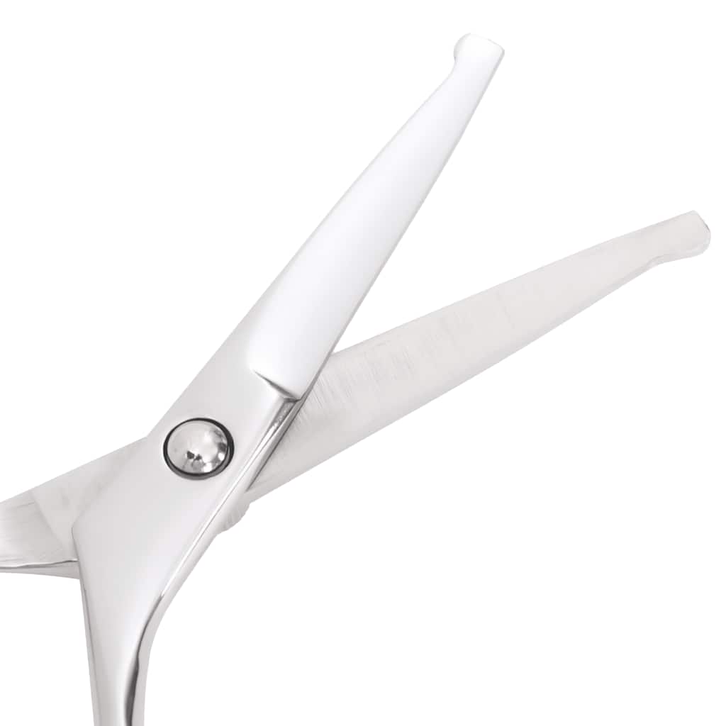 vidaXL Σετ ψαλιδιών περιποίησης σκύλων 6 τεμαχίων από ανοξείδωτο