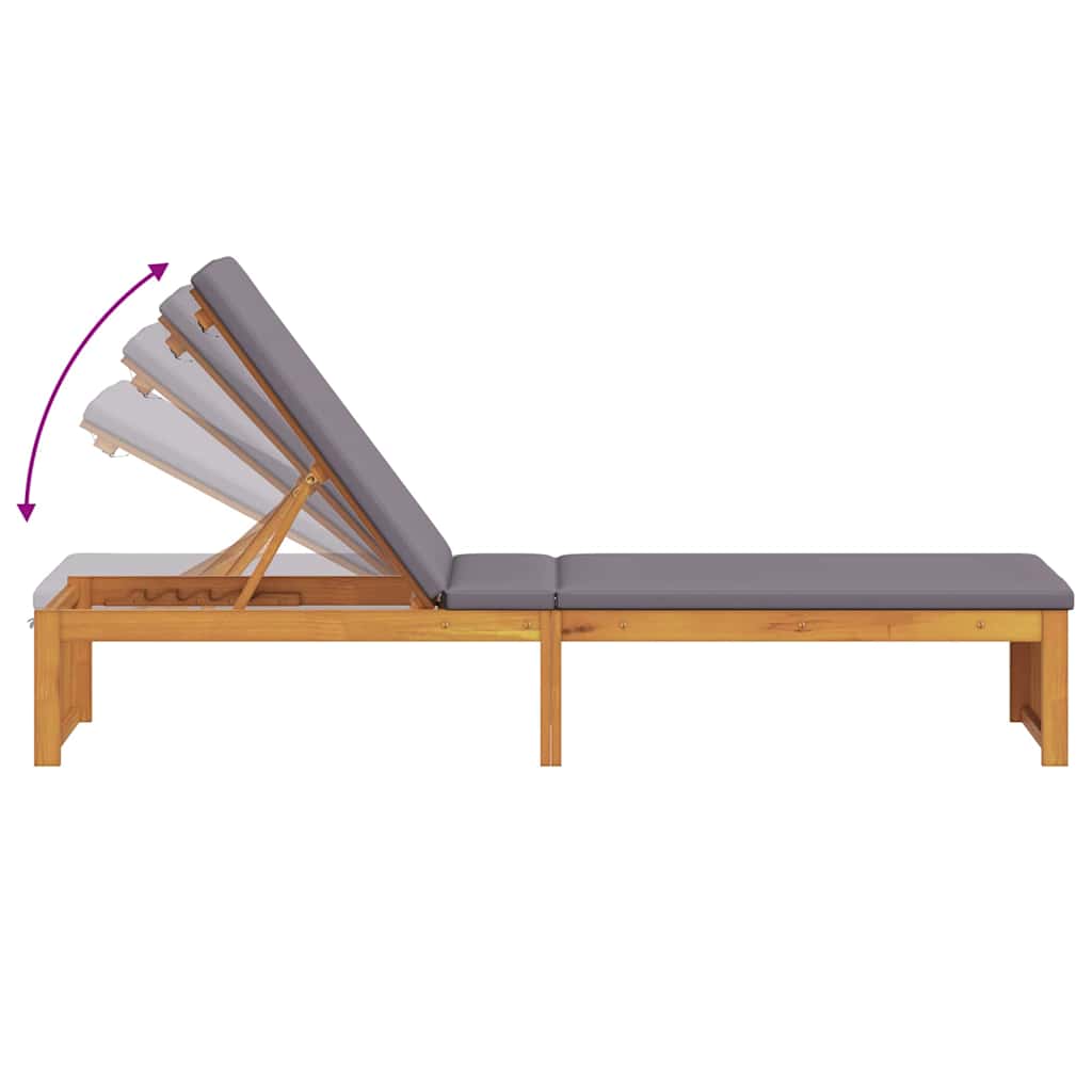 vidaXL Ξαπλώστρα με μαξιλάρι 200x55x30 cm Μασίφ ξύλο ακακίας