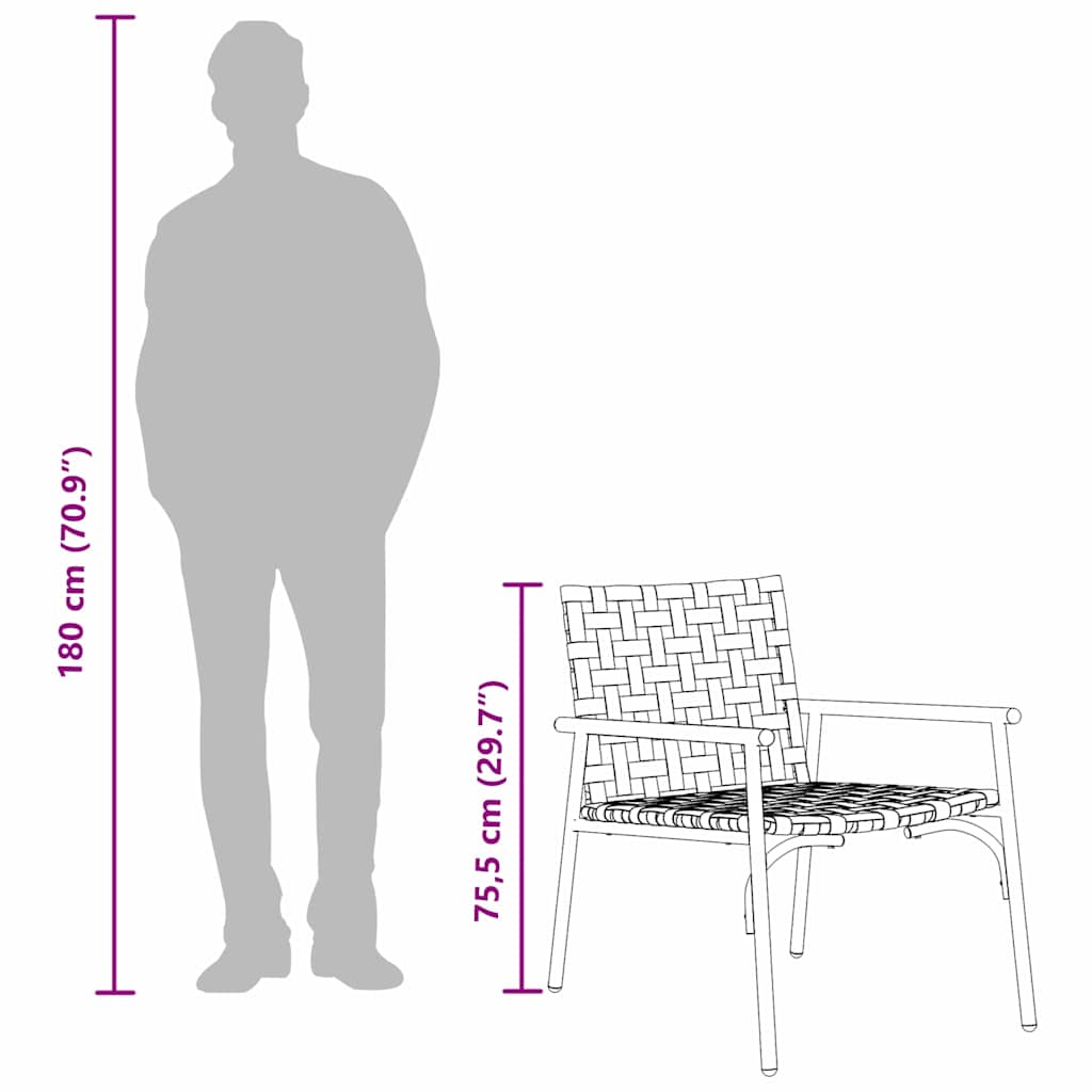 vidaXL Καρέκλες Κήπου 2 τμχ Μαύρο 79x56x73,5 εκ Ρατάν