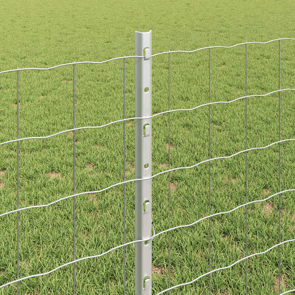 vidaXL Ευρωπαϊκό Φράχτη με 5 Εν Posts Ασημί 0,8x10 μ Ατσάλι