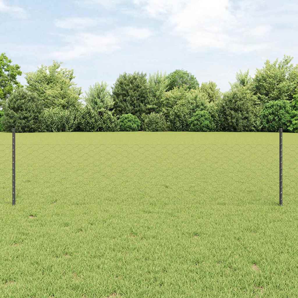 vidaXL Εξαγωνική Φράχτη με Στύλο 100 x 0,5 μ PVC-Επικαλυμμένο Ατσάλι