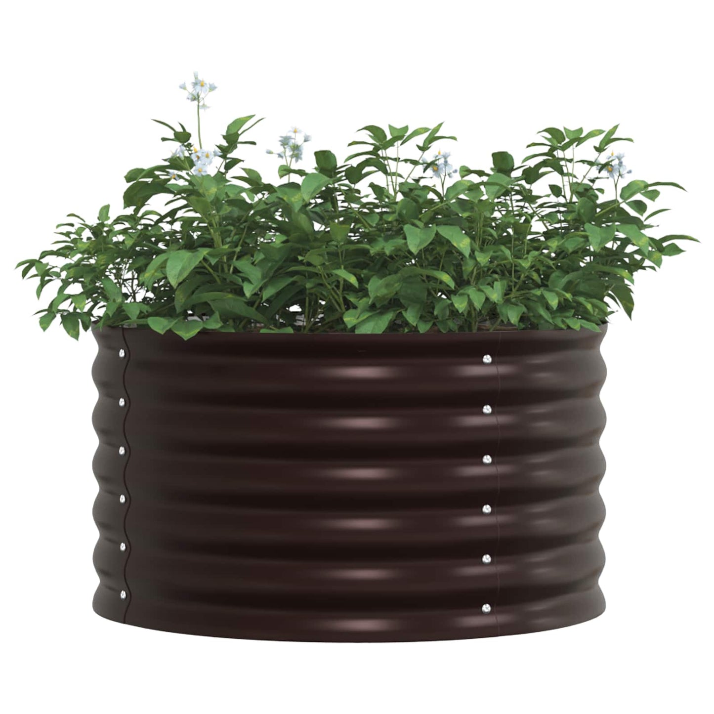 vidaXL Υπερυψωμένη Ζαρντινιέρα Καφέ 80 x 80 x 44 cm Ατσάλι