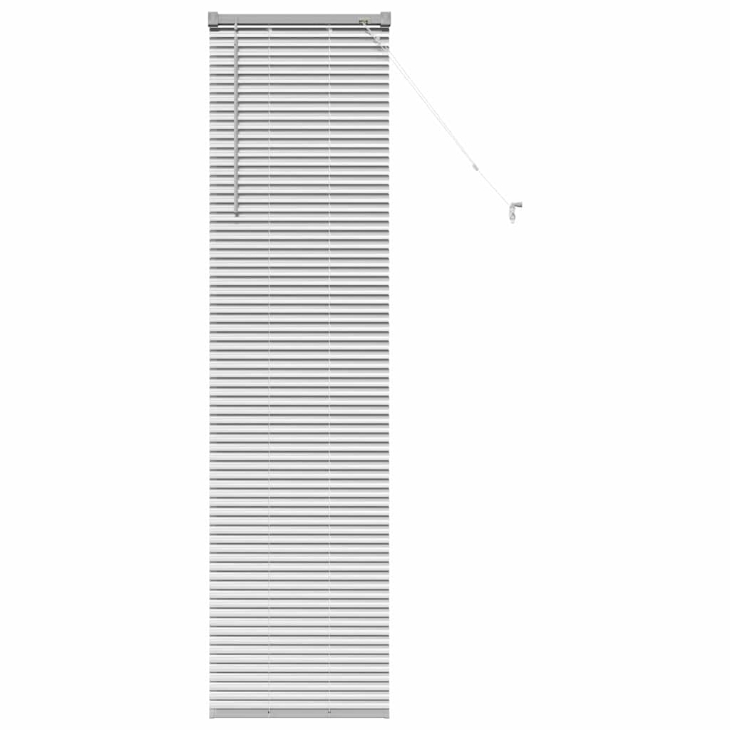 vidaXL Βενετσιάνικες Ρόδες Ασημί 175 x 50 εκ Αλουμίνιο
