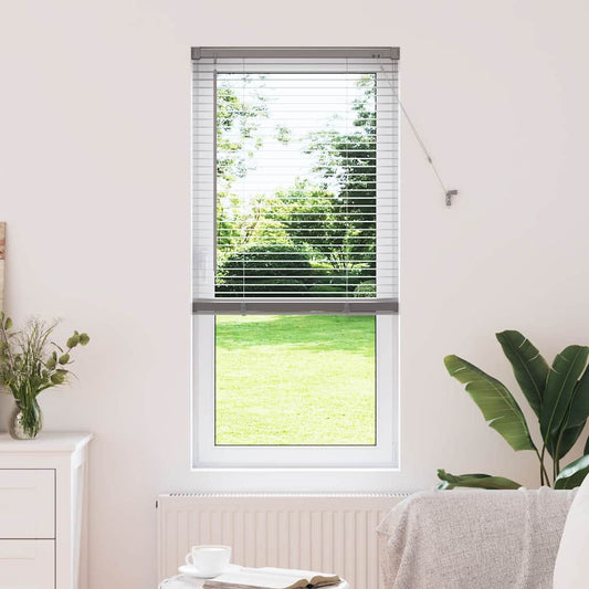 vidaXL Βενετσιάνικες Ρόδες Ασημί 175 x 60 εκ Αλουμίνιο