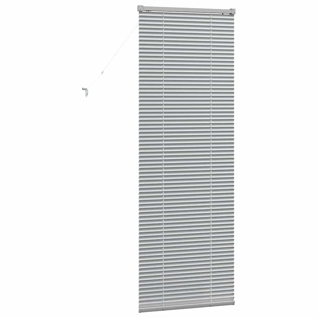 vidaXL Βενετσιάνικες Ρόδες Ασημί 175 x 60 εκ Αλουμίνιο