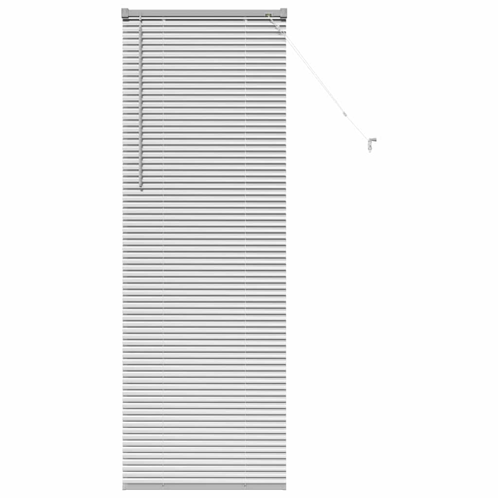 vidaXL Βενετσιάνικες Ρόδες Ασημί 175 x 65 εκ Αλουμίνιο