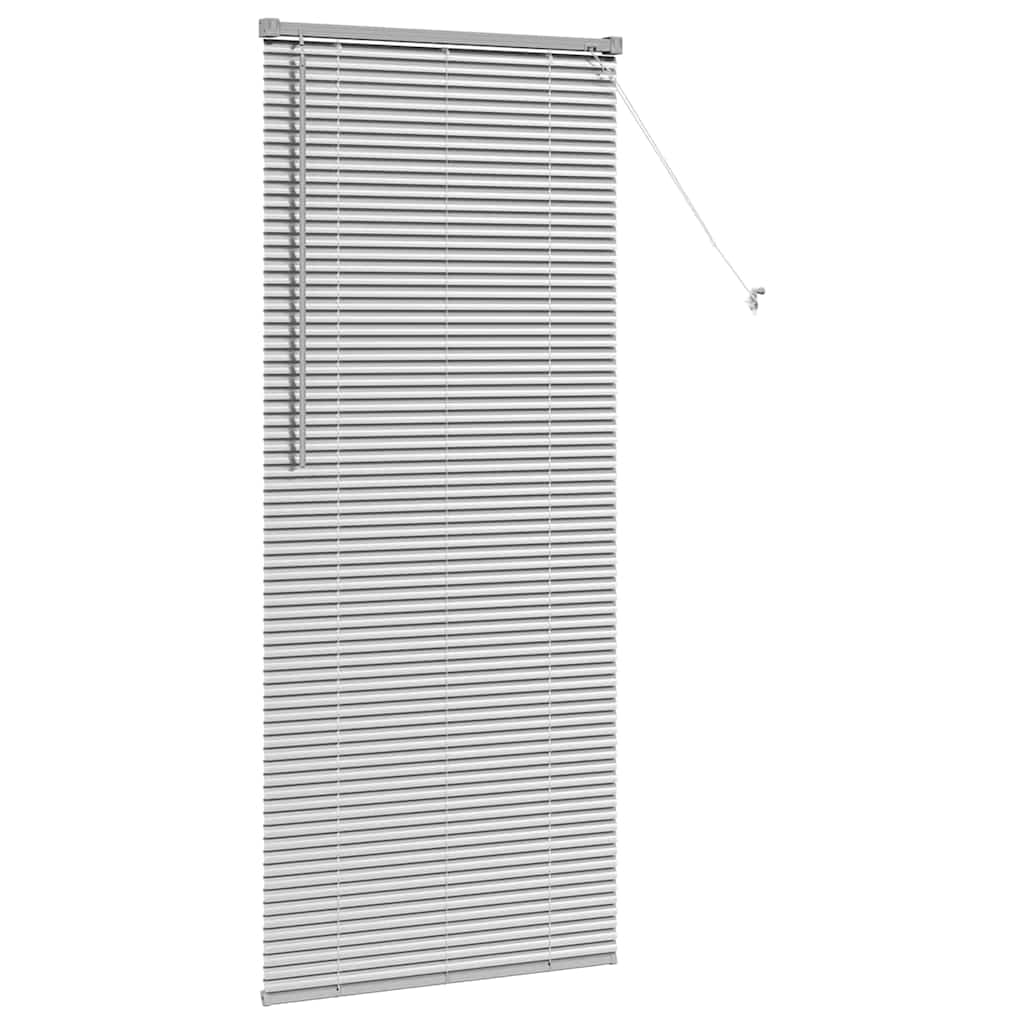 vidaXL Βενετσιάνικες Ρόδες Ασημί 175 x 70 εκ Αλουμίνιο