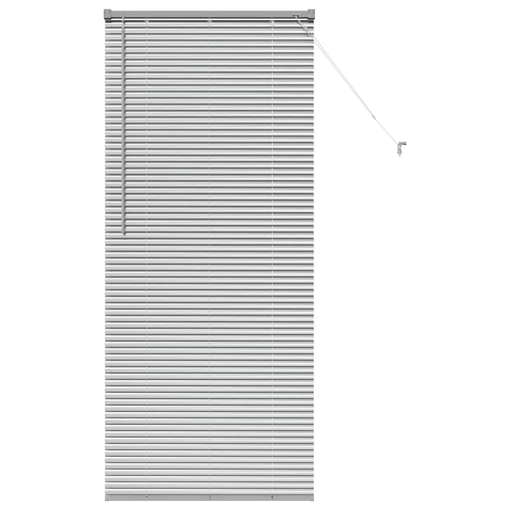 vidaXL Βενετσιάνικες Ρόδες Ασημί 175 x 70 εκ Αλουμίνιο