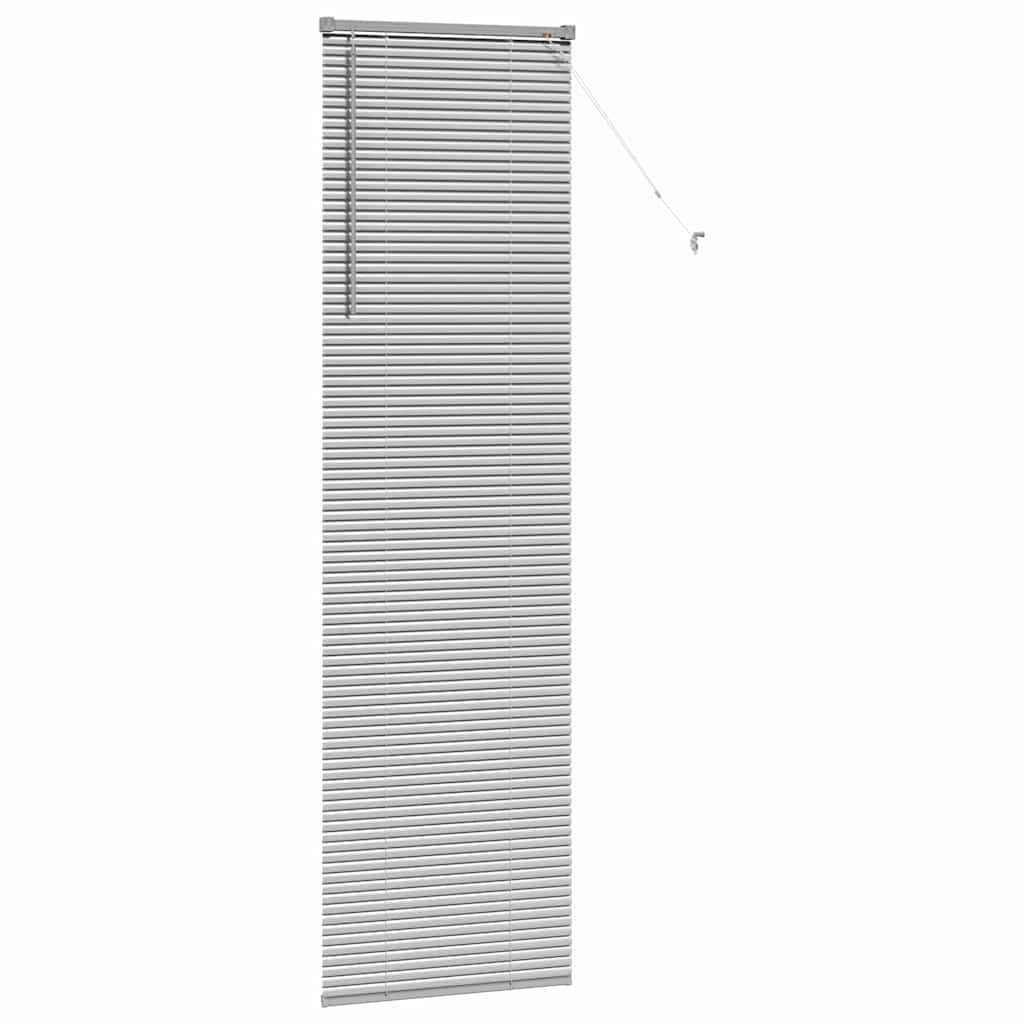 vidaXL Βενετσιάνικες Ρόδες Ασημί 220 x 65 εκ Αλουμίνιο