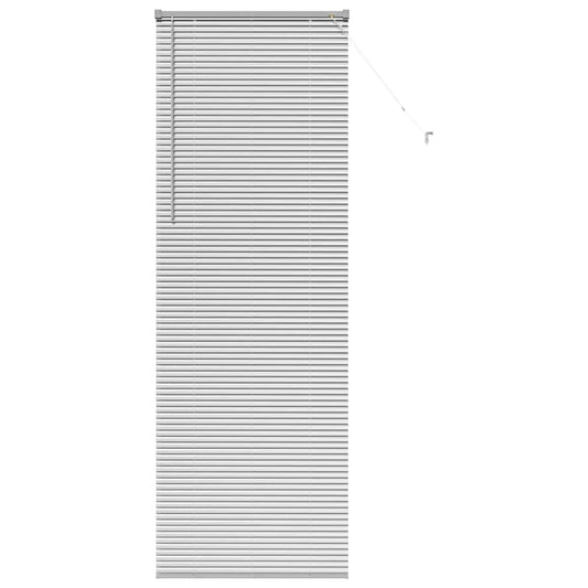 vidaXL Βενετσιάνικες Ρόδες Ασημί 220 x 75 εκ Αλουμίνιο