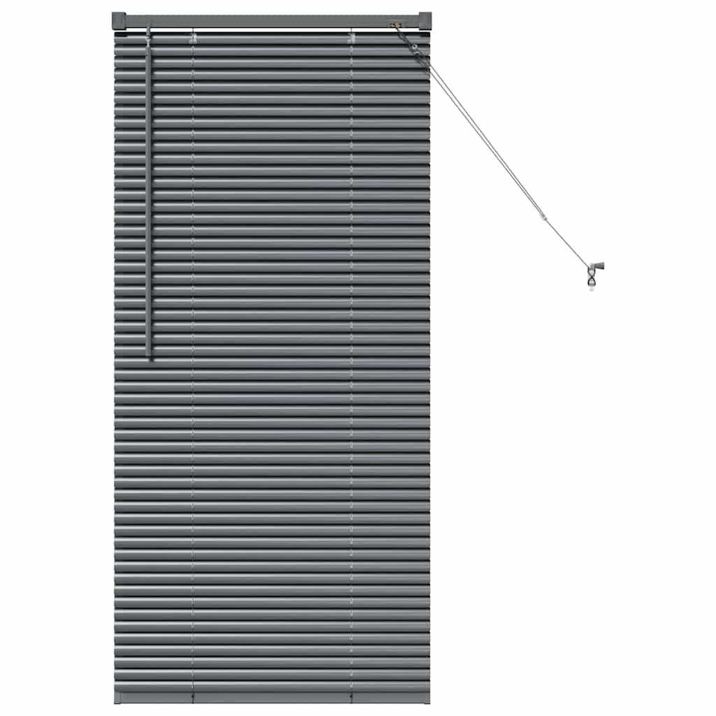vidaXL Βενετσιάνικες Ρόδες Σκούρο Γκρι 130 x 65 εκ Αλουμίνιο