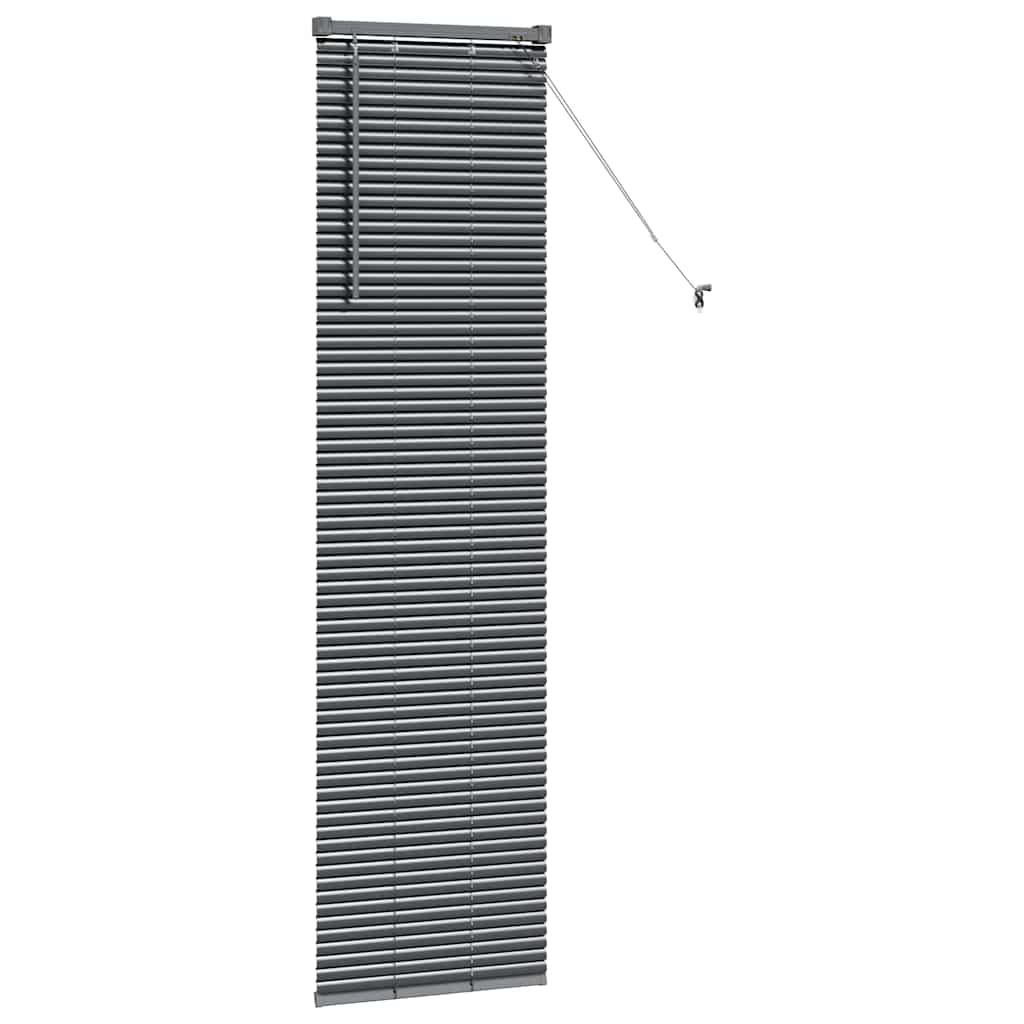 vidaXL Βενετσιάνικες Ρόδες Σκούρο Γκρι 175 x 50 εκ Αλουμίνιο