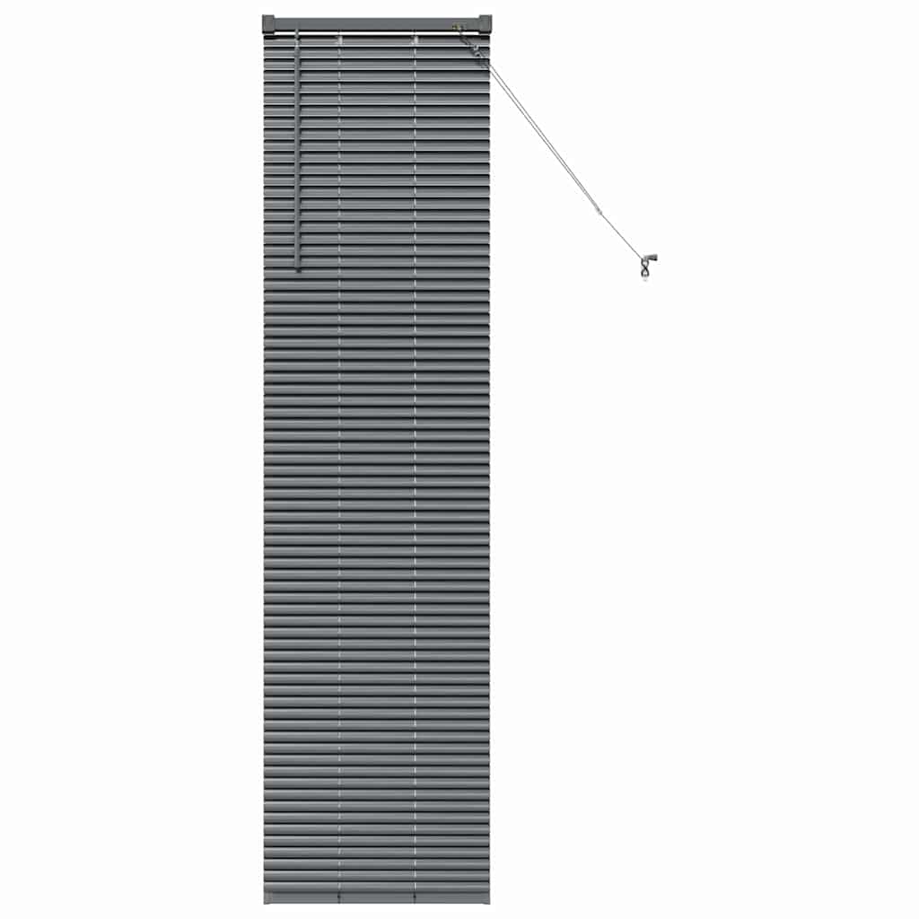 vidaXL Βενετσιάνικες Ρόδες Σκούρο Γκρι 175 x 50 εκ Αλουμίνιο