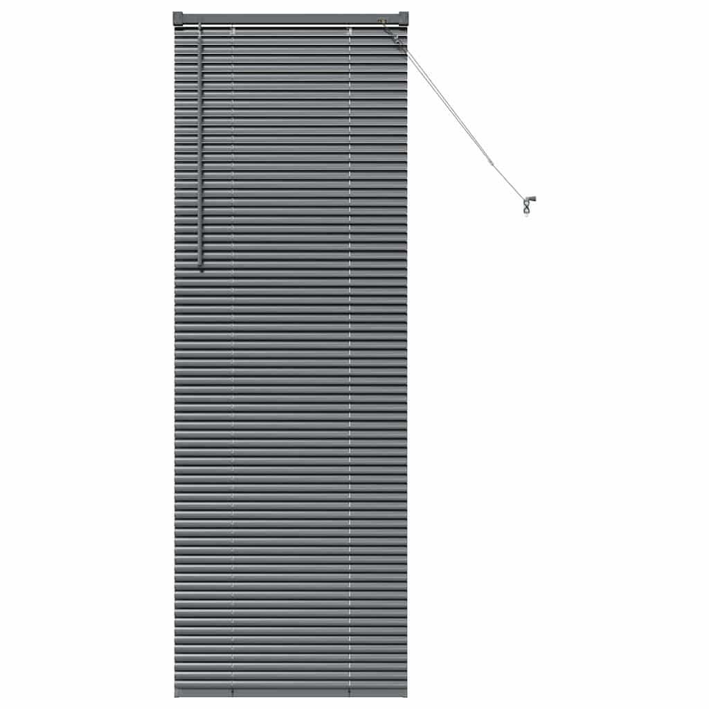 vidaXL Βενετσιάνικες Ρόδες Σκούρο Γκρι 175 x 55 εκ Αλουμίνιο