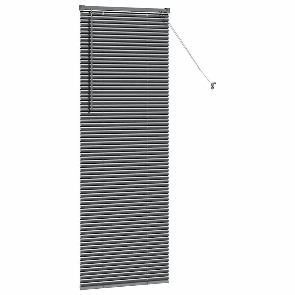 vidaXL Βενετσιάνικες Ρόδες Σκούρο Γκρι 175 x 60 εκ Αλουμίνιο