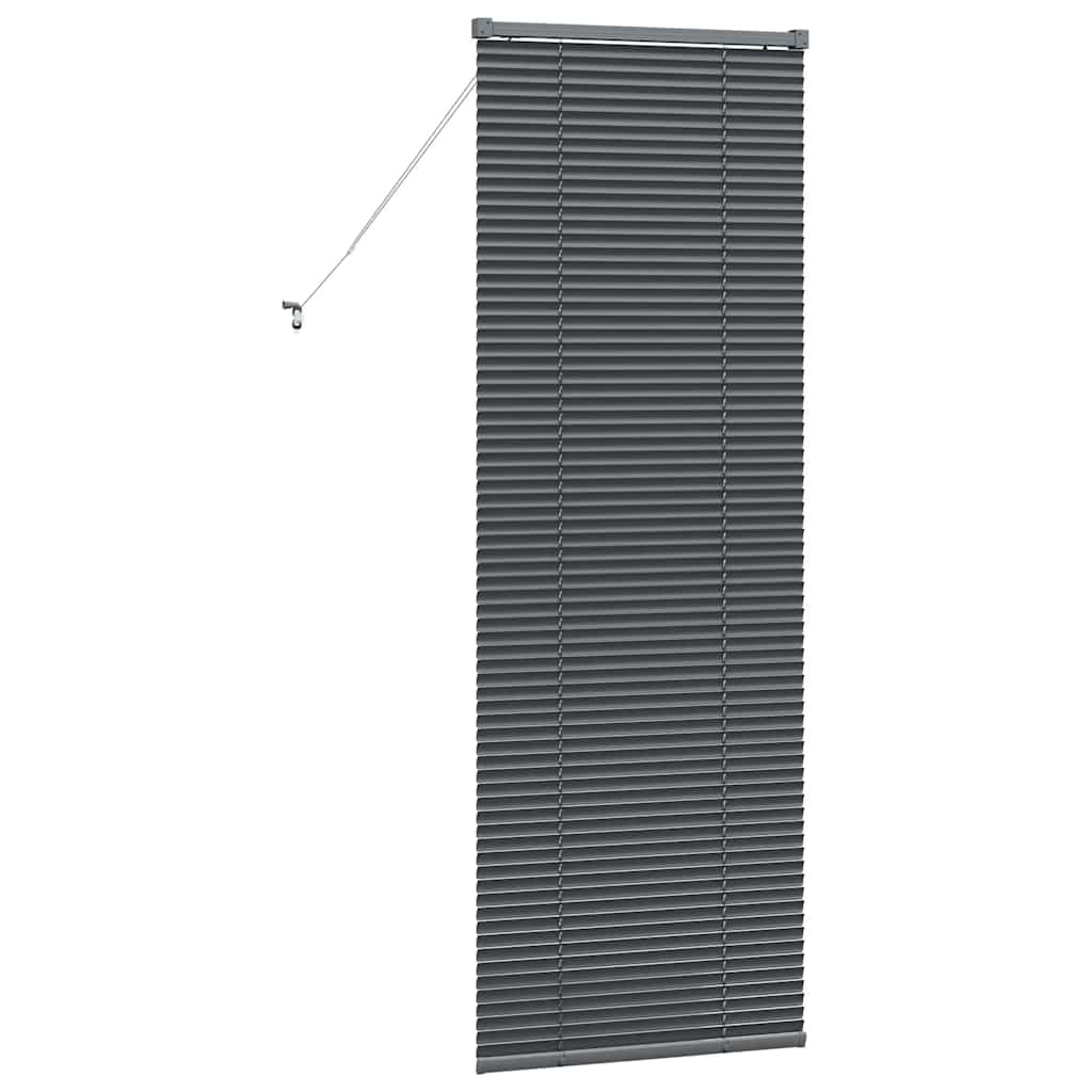 vidaXL Βενετσιάνικες Ρόδες Σκούρο Γκρι 175 x 60 εκ Αλουμίνιο