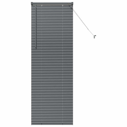 vidaXL Βενετσιάνικες Ρόδες Σκούρο Γκρι 175 x 60 εκ Αλουμίνιο