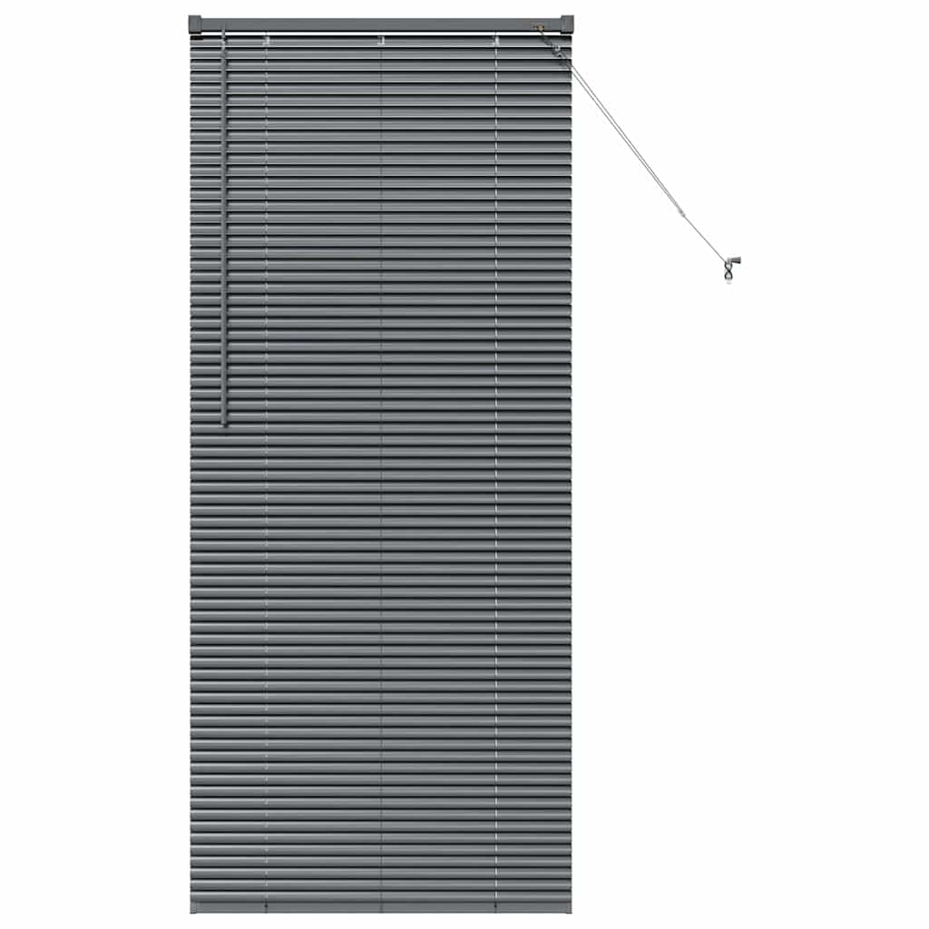 vidaXL Βενετσιάνικες Ρόδες Σκούρο Γκρι 175 x 70 εκ Αλουμίνιο