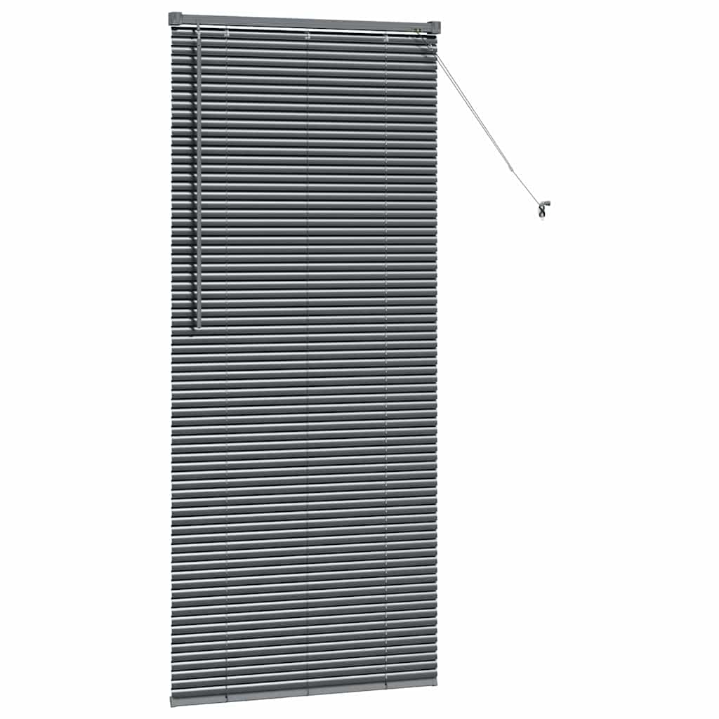 vidaXL Βενετσιάνικες Ρόδες Σκούρο Γκρι 175 x 80 εκ Αλουμίνιο